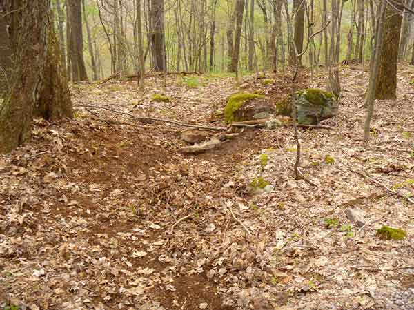 Trail building happening in Ohiopyle