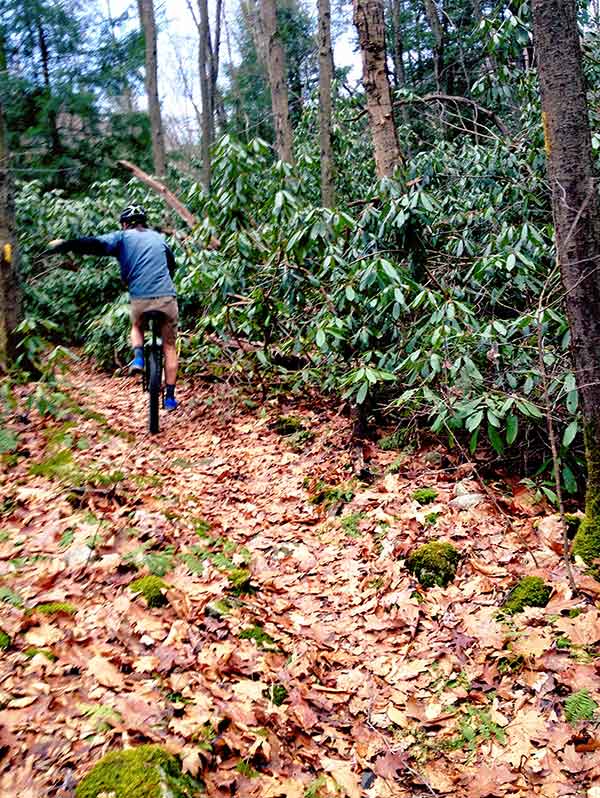 Mountain unicycling trails in Ohiopyle