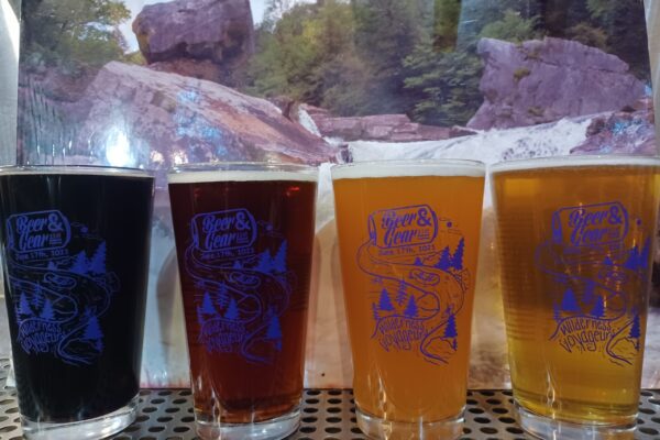 Beer and gear festival glasses