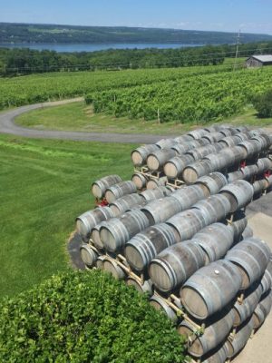 Wine Barrels seen on Finger Lakes Bike Tour by Wilderness Voyageurs