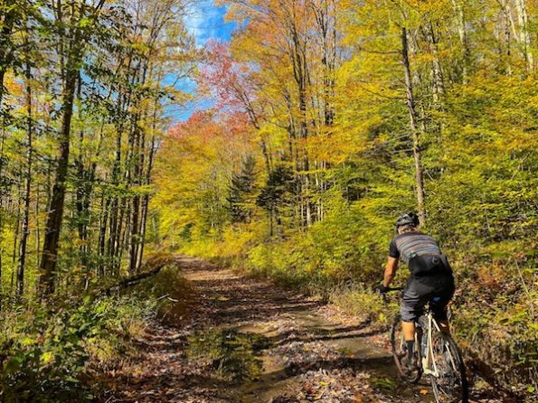 Gravel Bike Tours