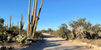 Gravel routes in Tucson Arizona
