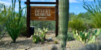 Desert Museum on AZ Gravel Bike Tour
