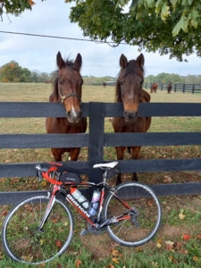 A bike leans against a black fence in front of two horses in Kentucky