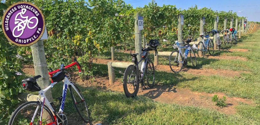 Bike tours winery header