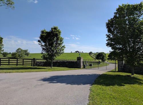 Nice gate horse farm Kentucky