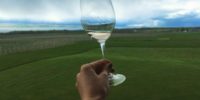 Finger Lakes wine
