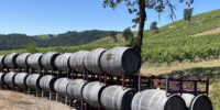 Wine casks at a vineyard in Oregon