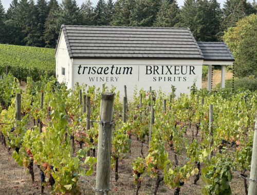 Closeup of a winery and a shed with the words Trisaetum Winery and Brixeur Spirits