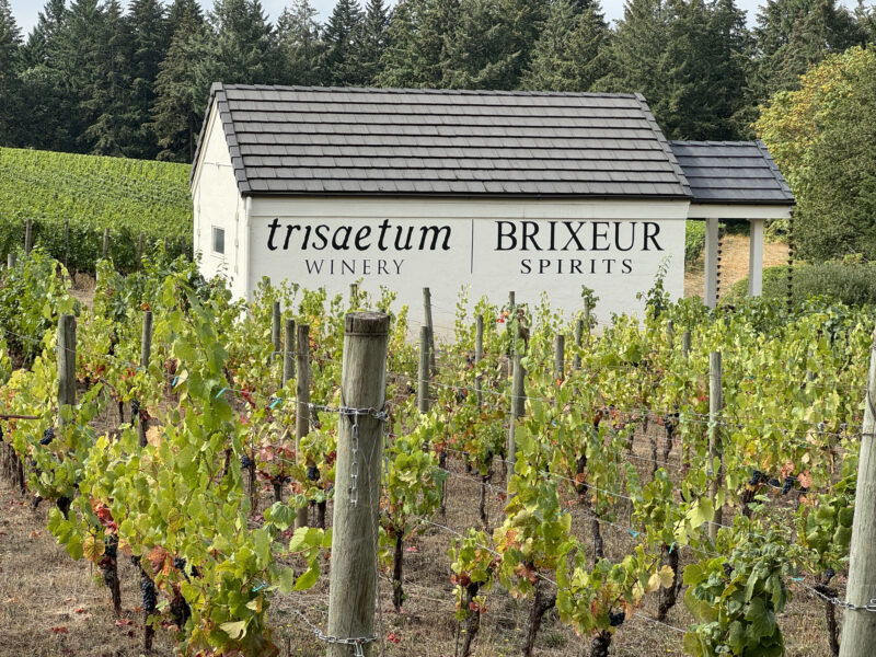 Closeup of a winery and a shed with the words Trisaetum Winery and Brixeur Spirits