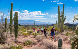 Photo of cyclists riding on a dirt path in saguaro national park 