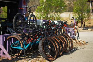 Mountain bikes parked at Wilderness Voyageurs bike shack.