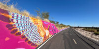 Bike path in Arizona bordered by a wall with a colorful mural of a hawk in flight