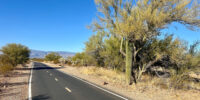 Open road in Arizona with mountains in the background and a saguaro cactus in the foreground