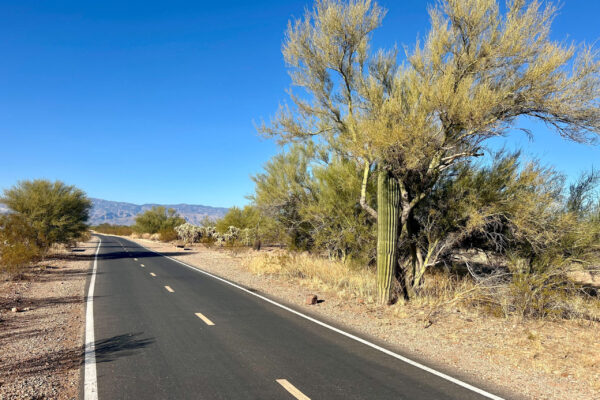 Open road in Arizona with mountains in the background and a saguaro cactus in the foreground