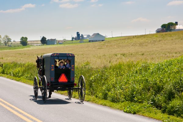 Horse and Buggy seen biking along the Cycle Amish Country Bike Tour with Wilderness Voyageurs