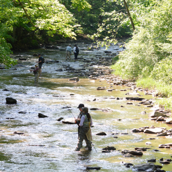 Fly Fishing in Ohiopyle - Wilderness Voyageurs