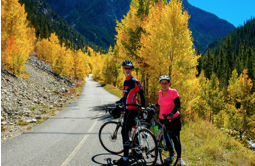 cycling in colorado with golden aspen trees