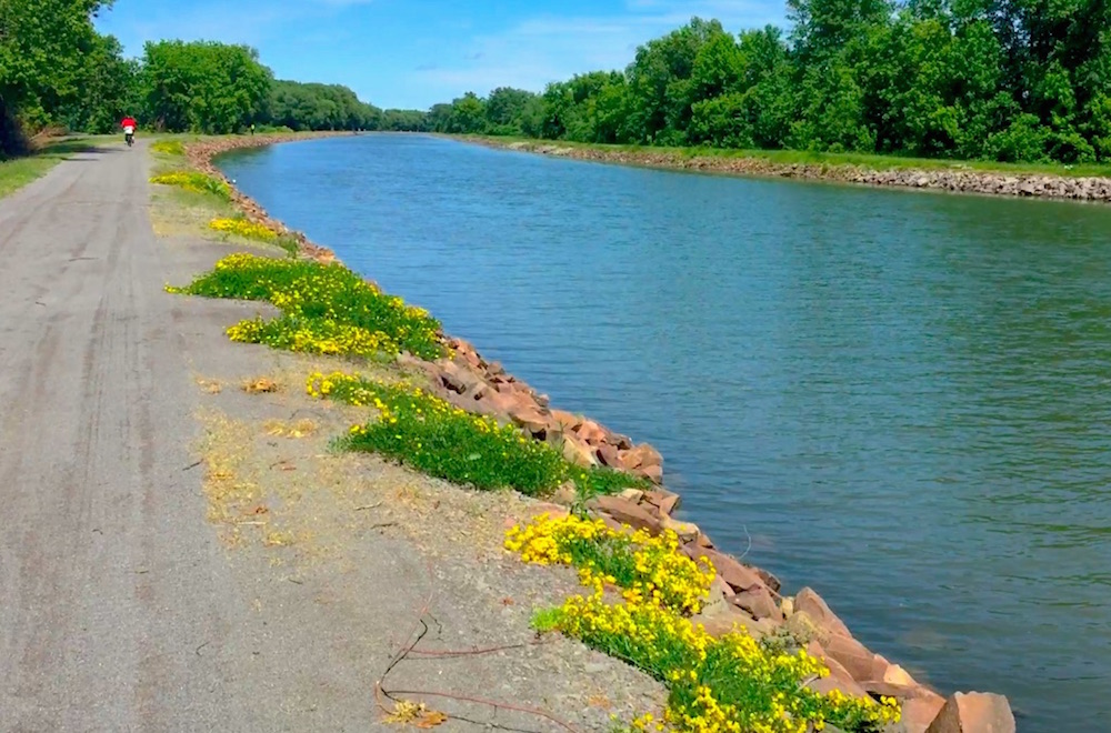 Erie Canal Trail surface