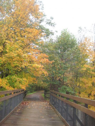Peak Fall Foliage along the Great Allegheny Passage Bike Trail seen on a Wilderness Voyageurs Bike Tour
